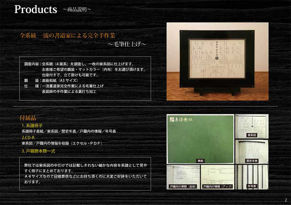 系譜無双パンフレット